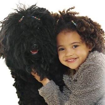Battling Fleas and Ticks In Your Home! Symptoms, Disease and Prevention!